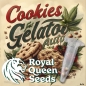 Preview: Cookies Gelato Seeds Auto (Autoflower Indica)